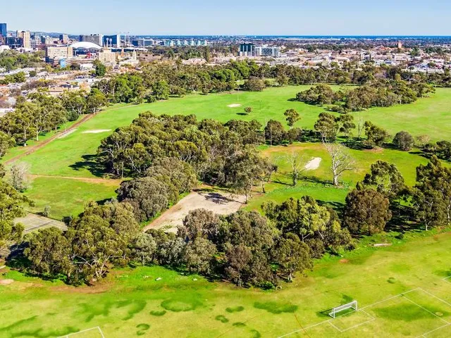 Lefevre Park / Nantu Wama (Park 6)