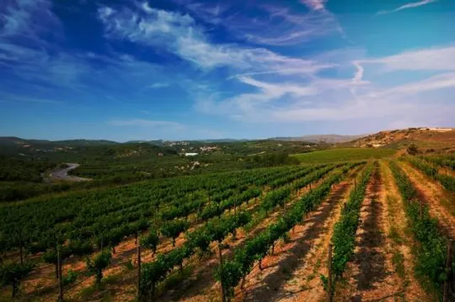 Observation Tower Tokaj