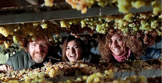 Fattoria di Piazzano