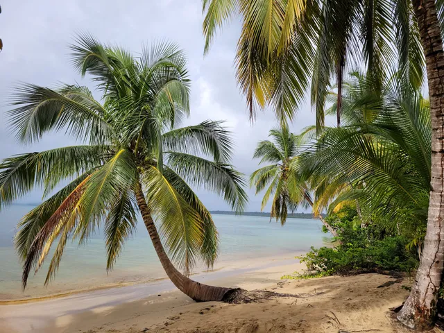 Parque Nacional Isla Bastimentos