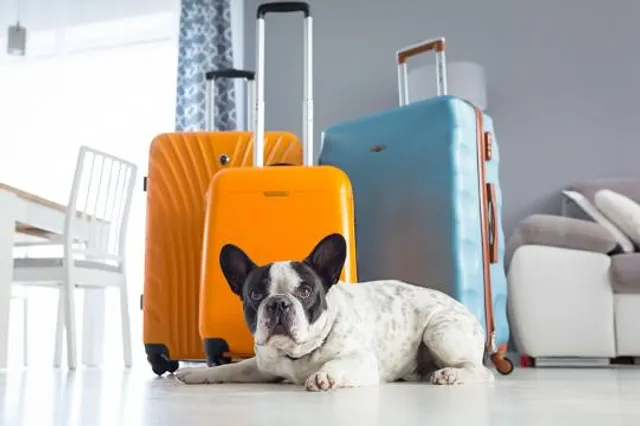 City of Brunswick, Municipal Museum