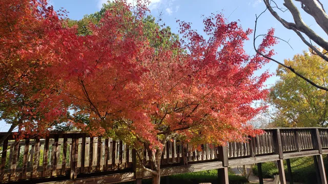 Kawai-cho Sports Park