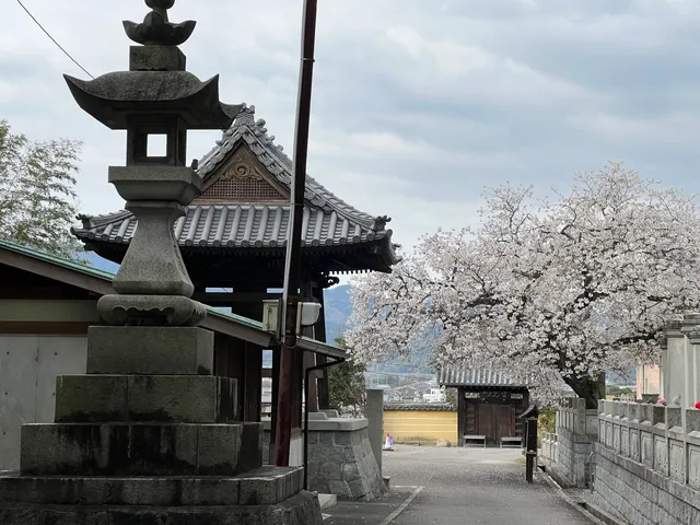 No.59 Iyo Kokubun Temple