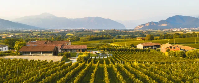 Cantina Boccadoro - Lussignoli Soc.Agr.S.S.