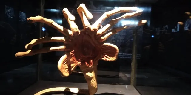 Museo Túnel de la Ciencia