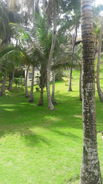 place image