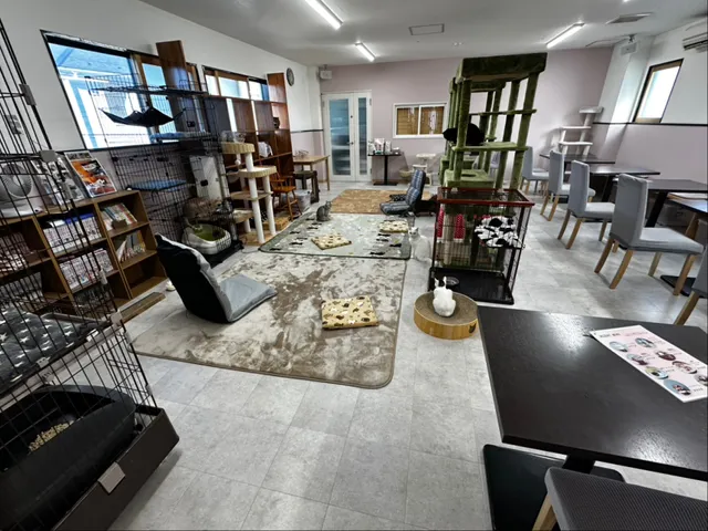 保護猫カフェ ねこのいちご屋さん