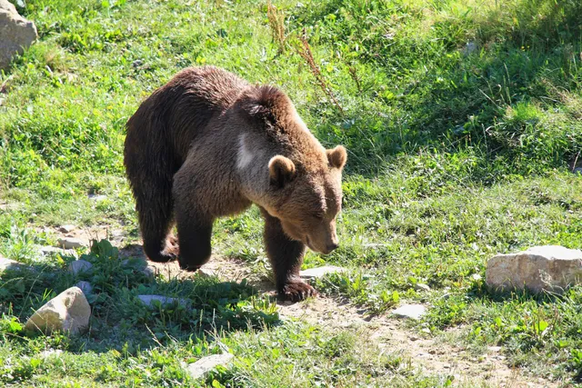 Aran Park - Parc Animalier