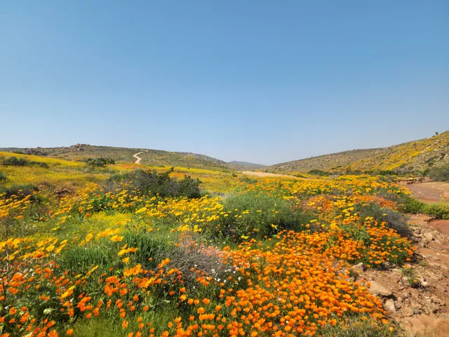 Namaqua National Park