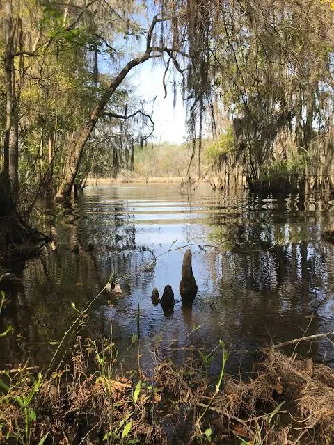 Savannah Ogeechee Canal Museum and Nature Center