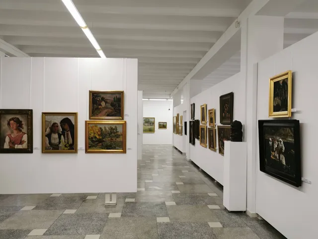 Museum of Art Bacau