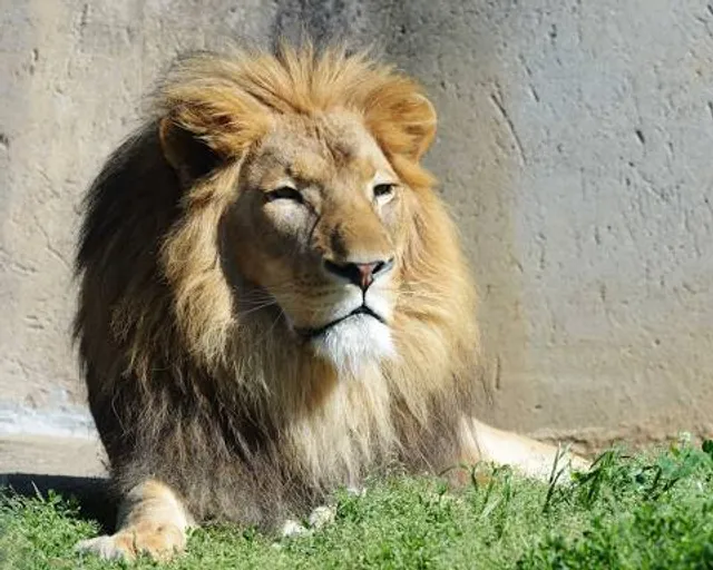 Louisville Zoo
