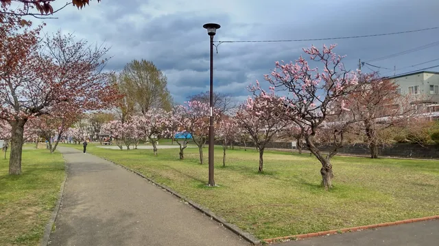 Hassamu Riverside Park