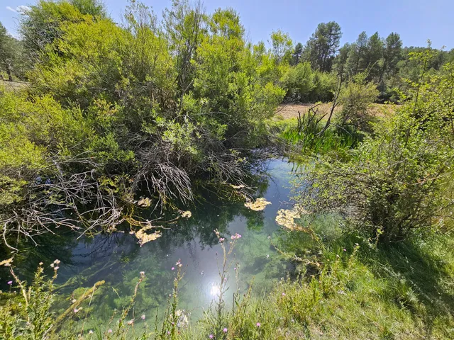 Nacimiento del Guadiela
