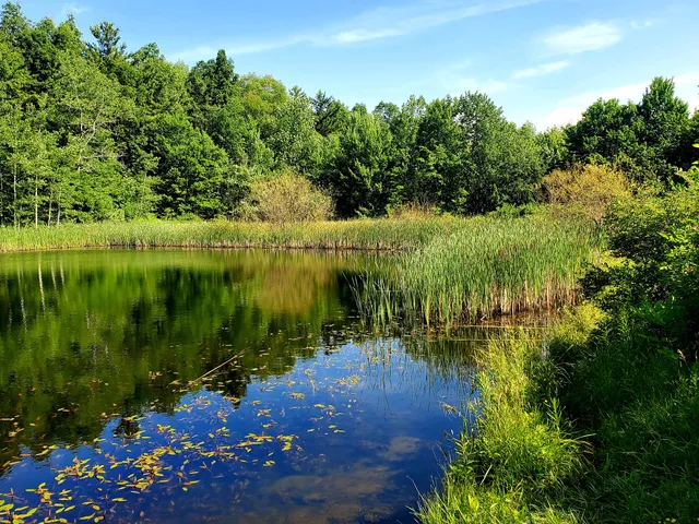 Wesley Hill Nature Preserve