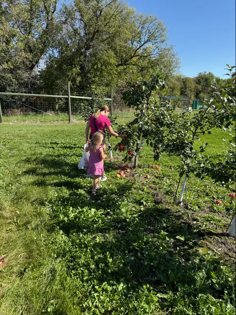Gottenborg Apple Orchard