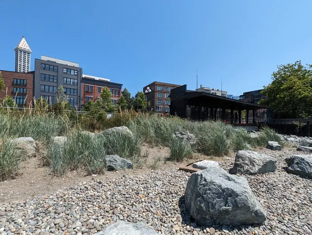 Pioneer Square Habitat Beach