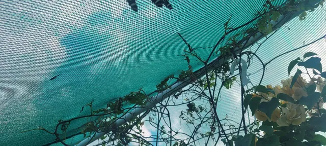 Mariposario Arlequín