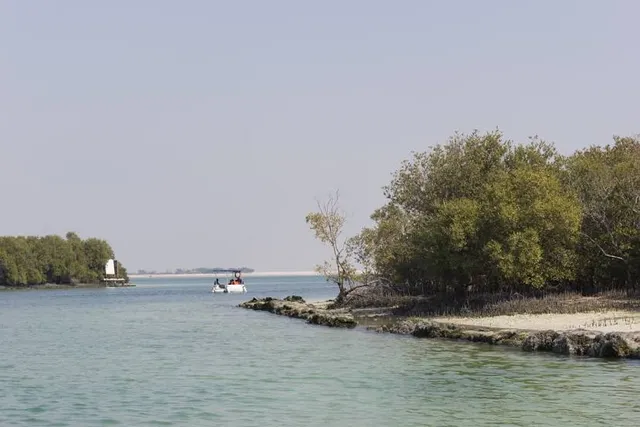Eastern Mangrove National Park