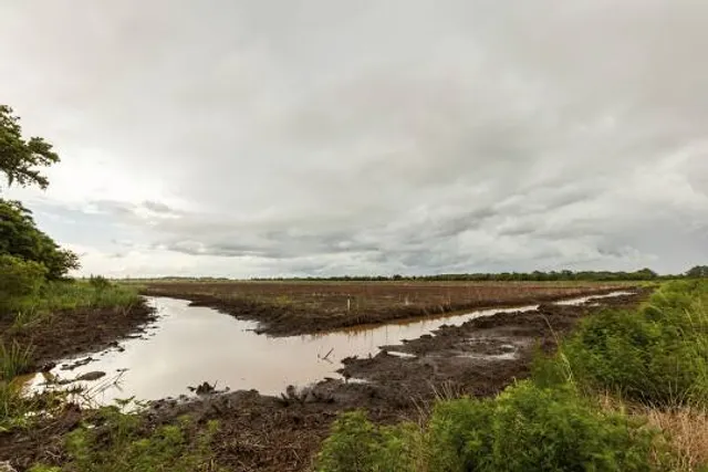 Altamaha Wildlife Management Area