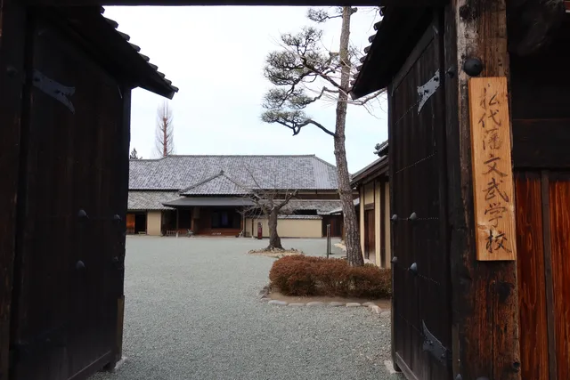 photo-3