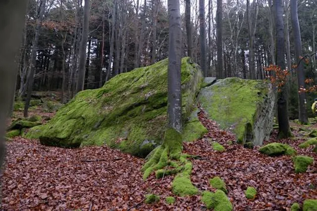photo-1