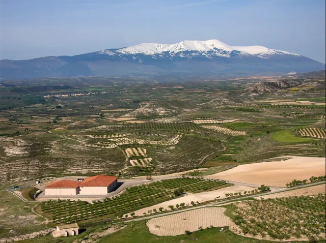 Bodegas Alto Moncayo S.A.