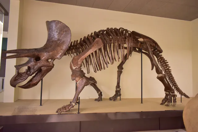 Goulandris Natural History Museum