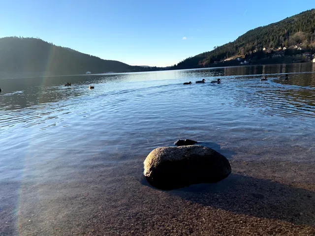 Saint-Dié-des-Vosges