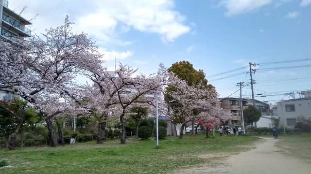 Dainichiminami Park