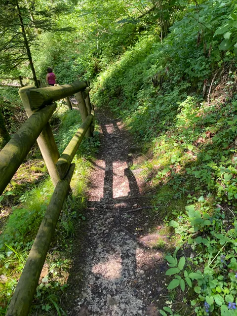 Sentiero degli Alpini