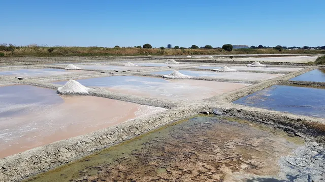 La Maison des Paludiers