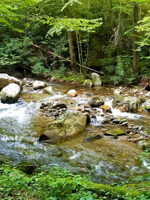 Rock Creek Recreation Area