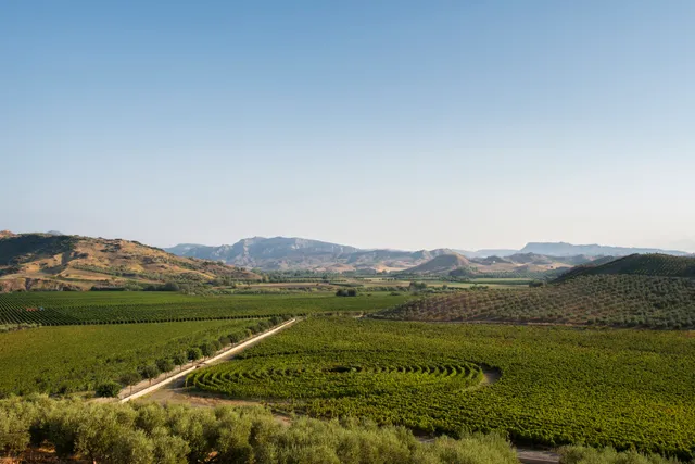 Librandi Antonio Nicodemo Spa