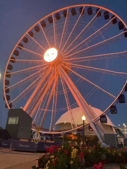 Navy Pier Carousel