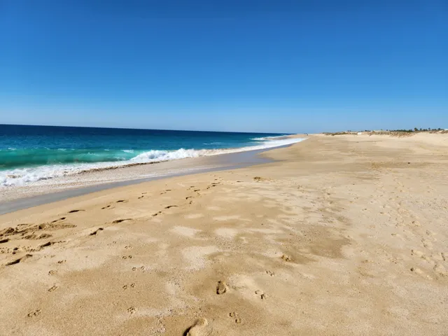 Playa Todos Santos B.C.S.