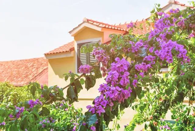 Muzeum motocyklů Lesná