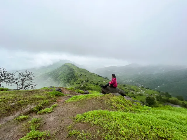 Garbett plateau trek trail