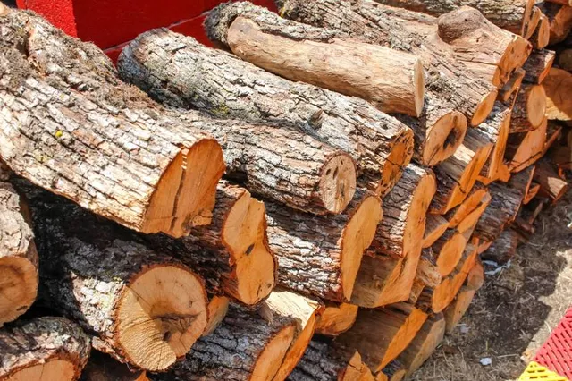 Wei Wei Jia Shi Bing Jiao Yu Nong Yuan