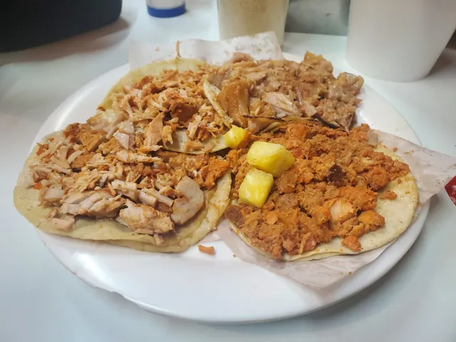 Taquería Bravo Y 21