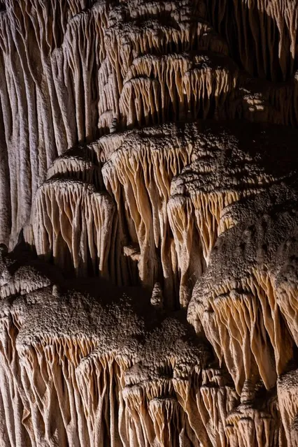 Carlsbad Cavern Natural Entrance