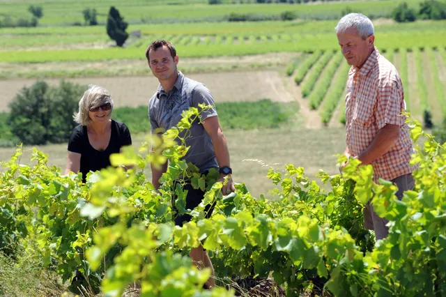 Domaine des Schistes