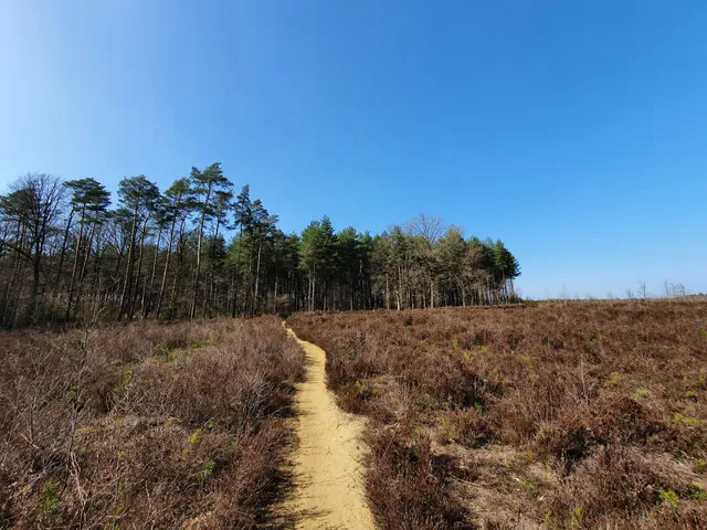 Averbode Bos en Heide