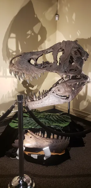 Weis Earth Science Museum