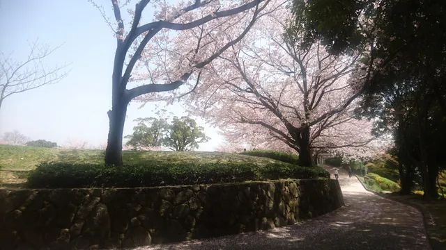 Futsukaichi Park