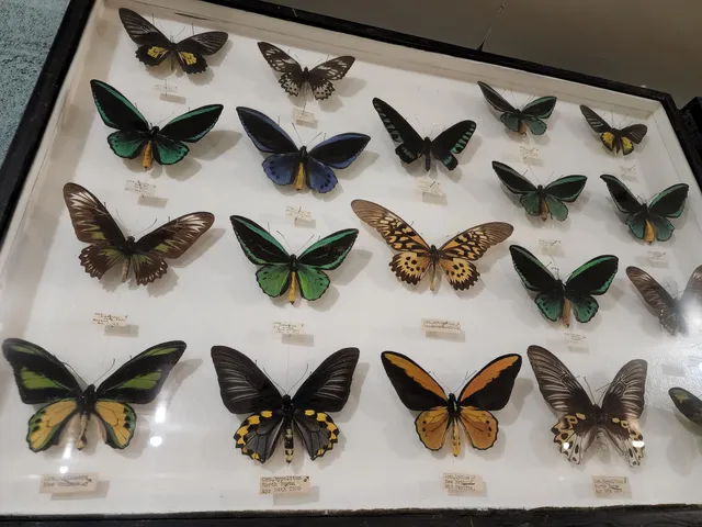 May Natural History Museum