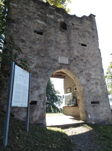 Burg Werdenstein