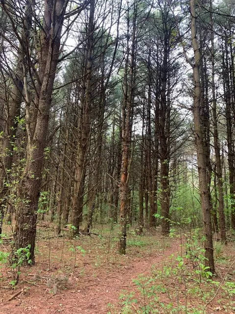 Al Sabo Land Preserve