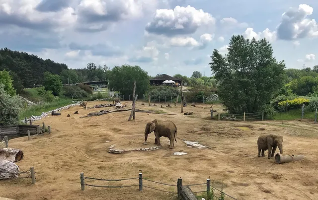 Elephant enclosure