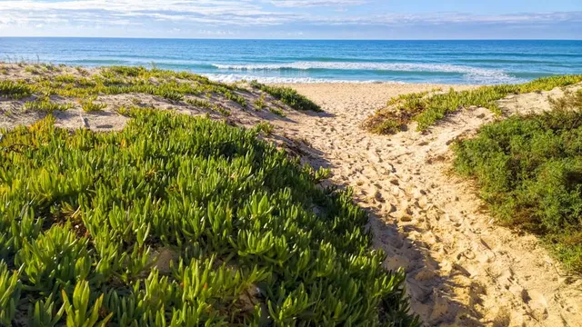 Praia de Faro (Mar)